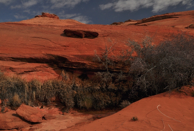The Hanging Garden Trail